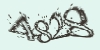 Ű
